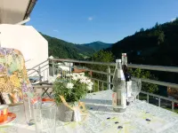 Steiert Panorama Apartments Todtnau Hotels in Todtnau