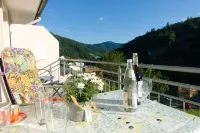 Steiert Panorama Apartments Todtnau - 3-Star