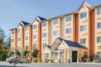 Microtel Inn & Suites by Wyndham Pigeon Forge Hotels in Pigeon Forge