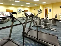 Holiday Inn Express & Suites COOKEVILLE by IHG - salle de sport