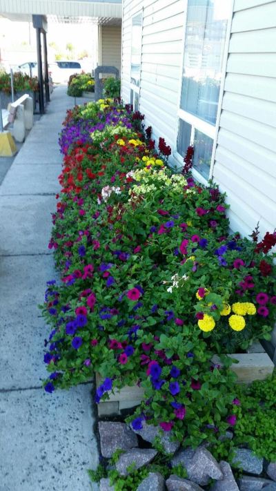 共有エリア スーパー 8 イエローナイフの写真