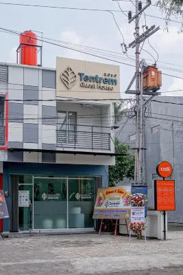 Roso Tentrem by Calli Rooms