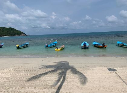 The Black Sheep Hostel