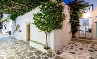Pelican Paros