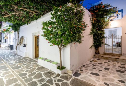 펠리칸 파로스 외관 이미지