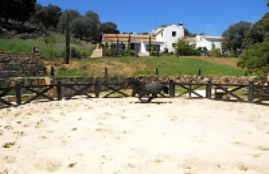 Los Pilares de Ronda Boutique & Hotel