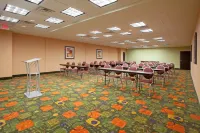 Holiday Inn Express & Suites CLEMSON - UNIV AREA by IHG - 3-Star