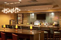 SpringHill Suites Tarrytown Westchester County - Barer