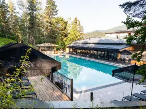 Kashmir Wellness & Spa Hotel Adults Only