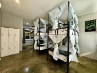 Eclipse Hostel and Bar