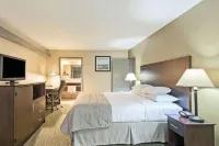 Wyndham Garden Ann Arbor Hotel in zona University of Mi Health System
