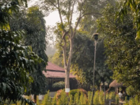 Bardia Forest Resort Hotels in Bardia