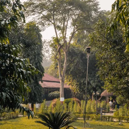 Bardia Forest Resort
