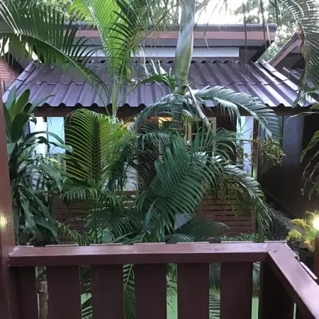 Grand Tree Resort