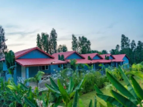 Natu Resort Отели в г. 