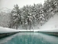 Hotel Continental Balneario de Panticosa - Hot Springs