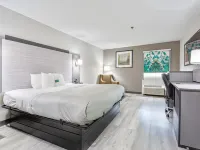 Quality Inn Edmund Pettus Bridge Area Hotels in Selma
