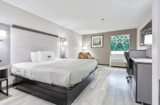 Quality Inn Edmund Pettus Bridge Area Hotels near New Live Oak Cemetery