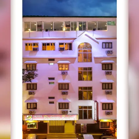 Hotel Padmini Palace