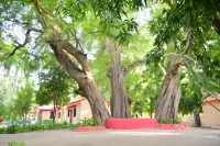 Leopard's Lair Jungle Lodge Hotels in Pali