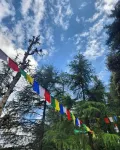 Thrillomania Mcleodganj
