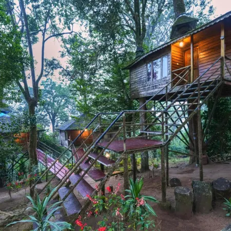 Nature Zone Munnar - A Real Jungle Resort - Authentic Tree House and Premium Tents