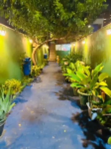 Onça da Praia Hostel Hoteles en 