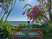 فندق سانتاي Hotels near شاطئ أميد