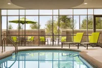 SpringHill Suites Allentown Bethlehem/Center Valley - que admiten mascotas