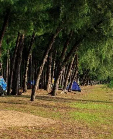 รูปภาพของพิลตัน รีสอร์ต