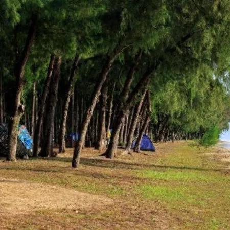 Pilton Resort