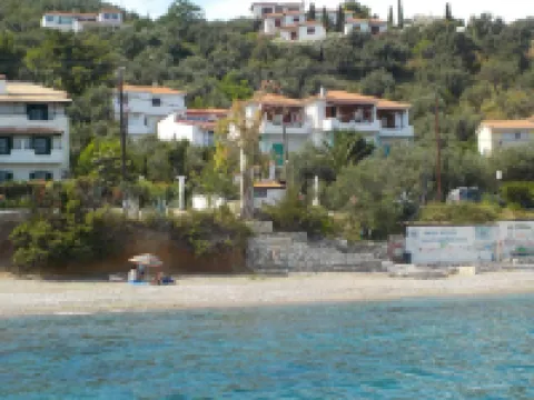 아잘레아 스튜디오