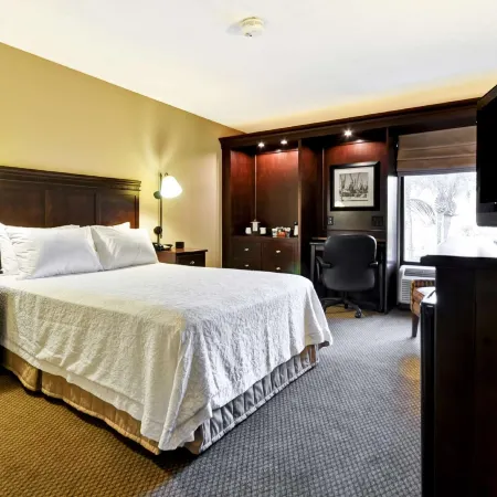 Hampton Inn Charleston/Mt. Pleasant-Patriots Point
