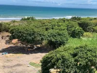 South Bird Inn - Strand
