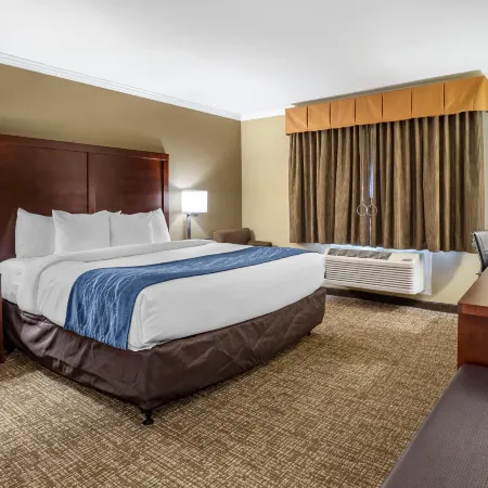 Comfort Inn Sunnyvale - Silicon Valley