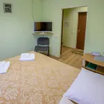 Garmoniya Plus Mini Hotel 住宿飯店