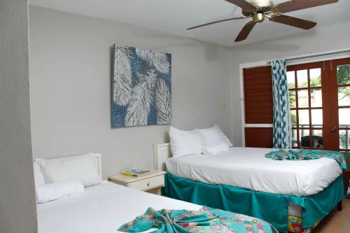 Ocean Palms فنادق في أوتشو ريوس