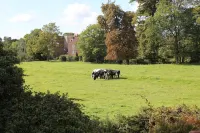 The Coach House