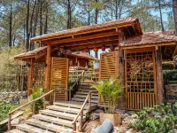 Phoenix Moc Chau Hotel Hotels in Moc Son