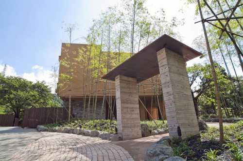 키노타케 토노사와(성인 전용)