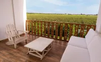 Hotel Viñas Queirolo - วิว