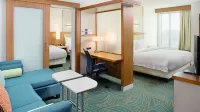 達拉斯路易斯維爾萬豪SpringHill Suites 酒店 路易斯維爾酒店