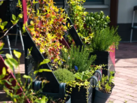 宜必思快捷卡昂波特布列塔尼飯店