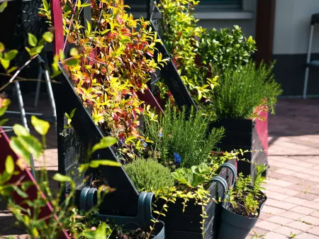 ibis budget Caen Porte de Bretagne Отели в г. Фонтене-ле-Пенель