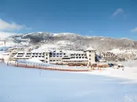 Hotel Junior Hotels in 