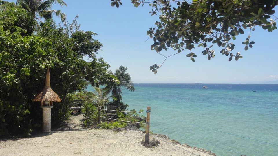 Sea Turtle House Moalboal