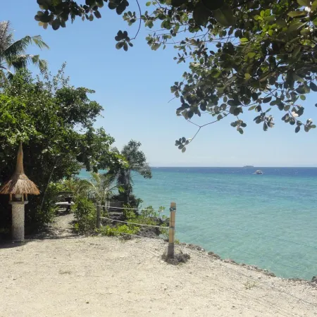 Sea Turtle House Moalboal