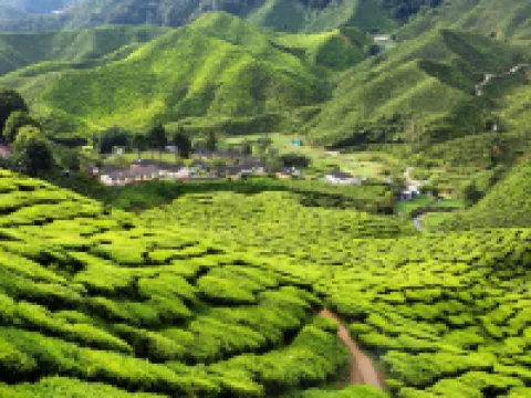 SEKATA APARTMENT Hotels in Ringlet