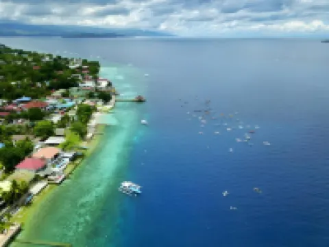 Uncle Panda Diving & Lounge