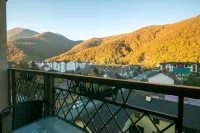 維泰克斯大飯店 - 山景